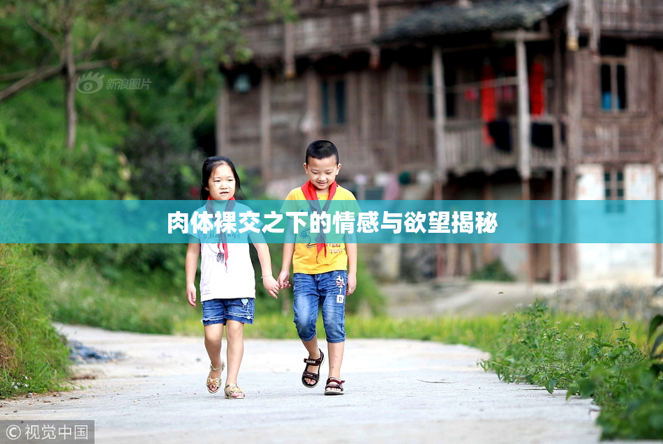 肉体裸交之下的情感与欲望揭秘
