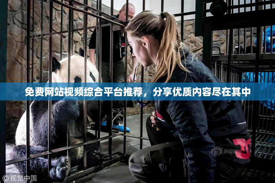 免费网站视频综合平台推荐，分享优质内容尽在其中