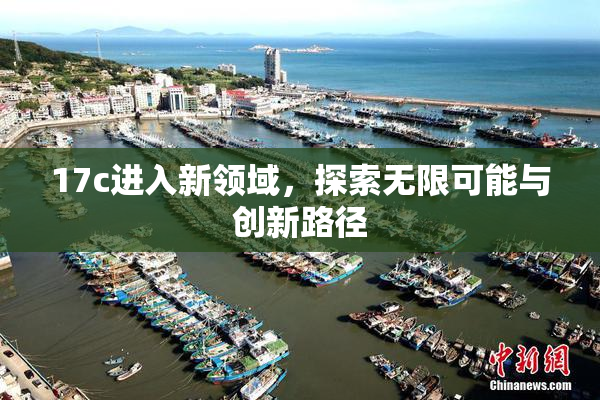 17c进入新领域，探索无限可能与创新路径