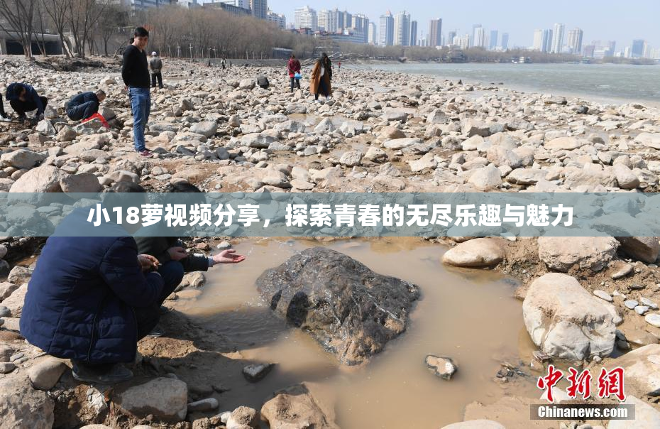 小18萝视频分享，探索青春的无尽乐趣与魅力