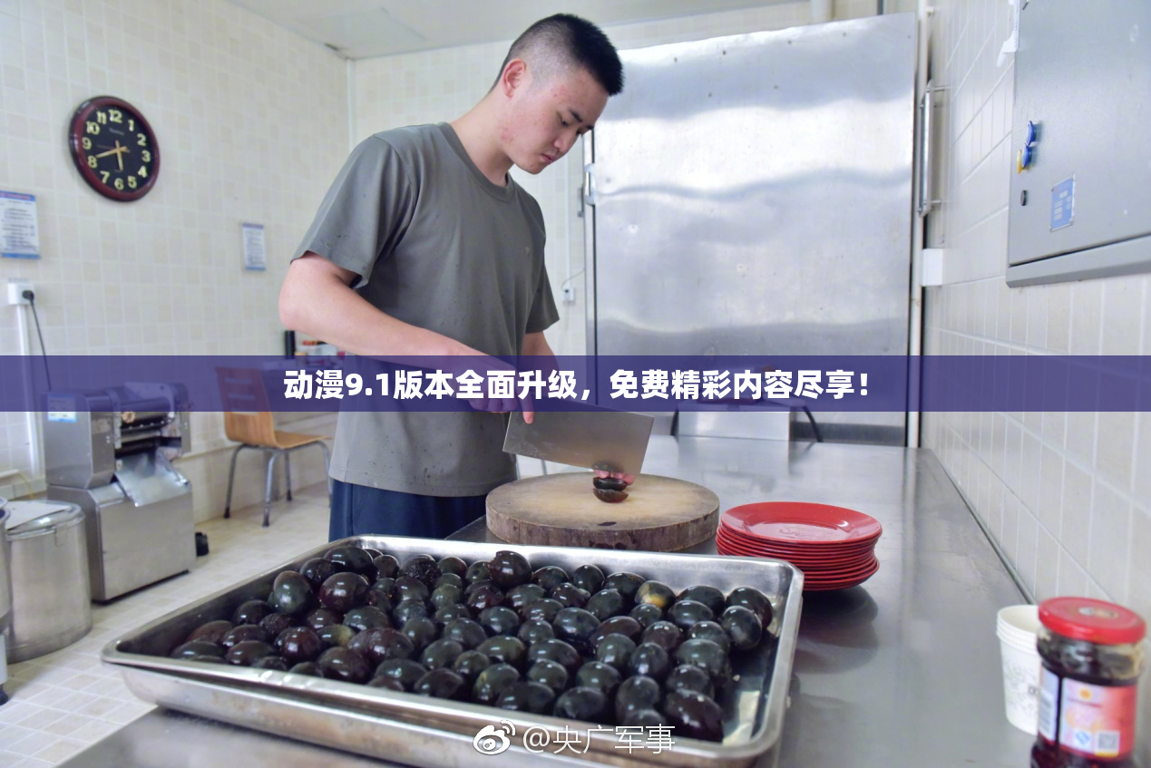 动漫9.1版本全面升级，免费精彩内容尽享！