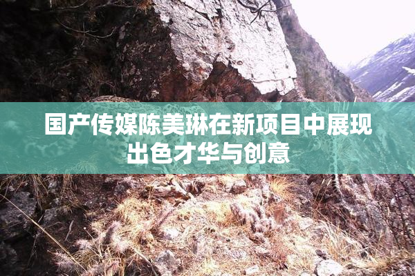 国产传媒陈美琳在新项目中展现出色才华与创意