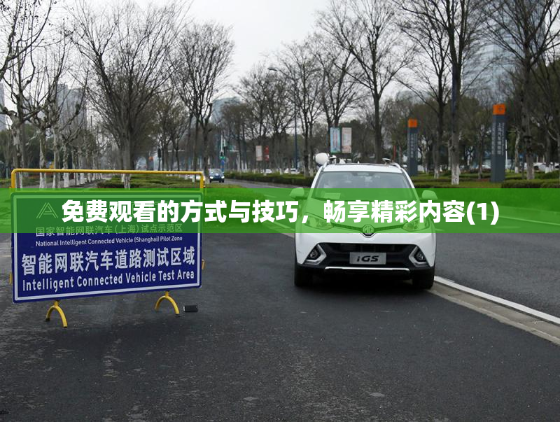 免费观看的方式与技巧，畅享精彩内容(1)