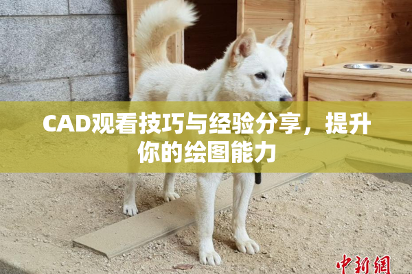 CAD观看技巧与经验分享，提升你的绘图能力