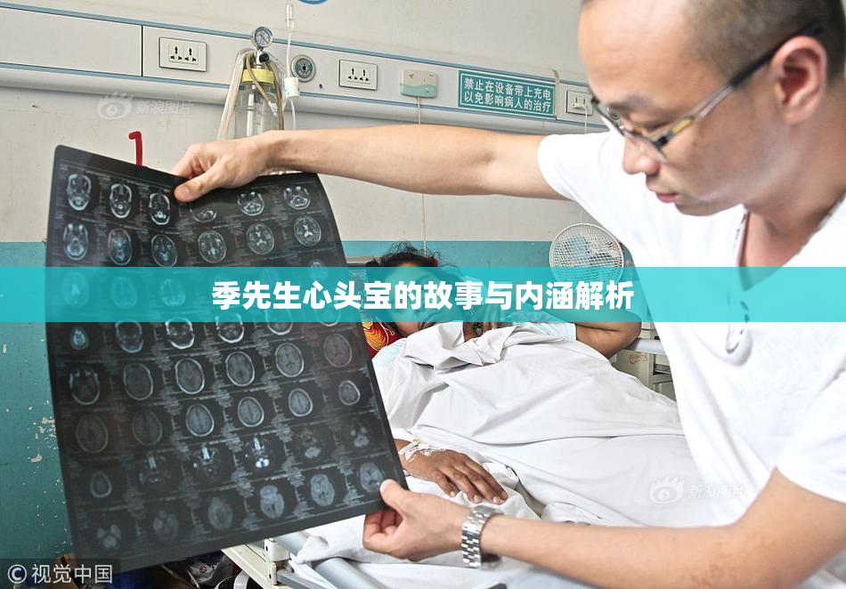 季先生心头宝的故事与内涵解析