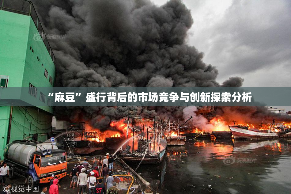 “麻豆”盛行背后的市场竞争与创新探索分析