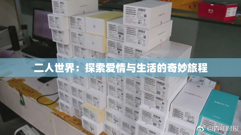 二人世界：探索爱情与生活的奇妙旅程