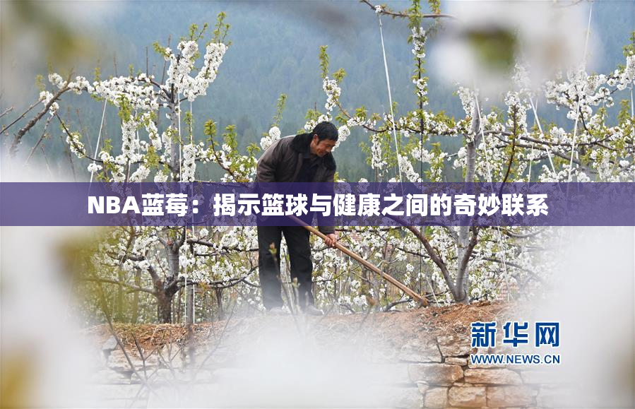 NBA蓝莓：揭示篮球与健康之间的奇妙联系