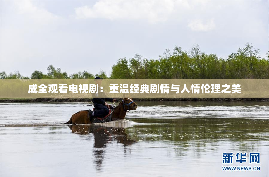 成全观看电视剧：重温经典剧情与人情伦理之美