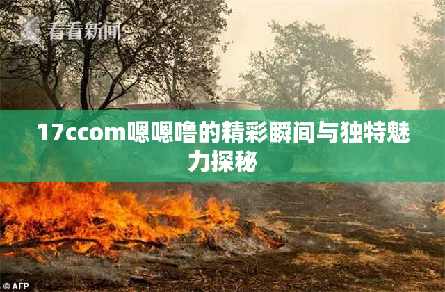 17ccom嗯嗯噜的精彩瞬间与独特魅力探秘