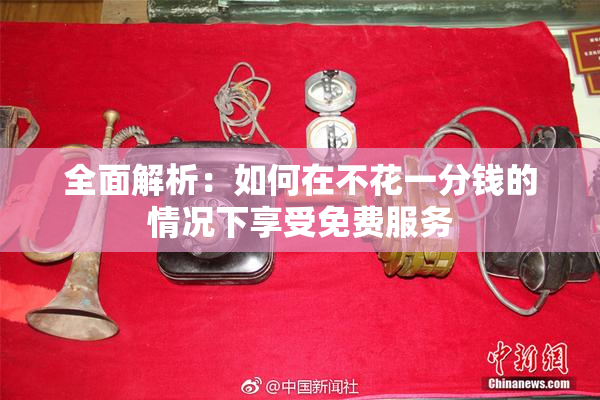 全面解析：如何在不花一分钱的情况下享受免费服务