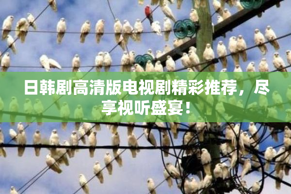 日韩剧高清版电视剧精彩推荐，尽享视听盛宴！