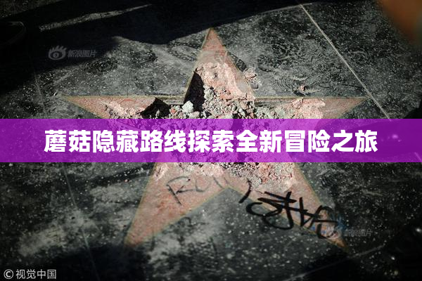 蘑菇隐藏路线探索全新冒险之旅