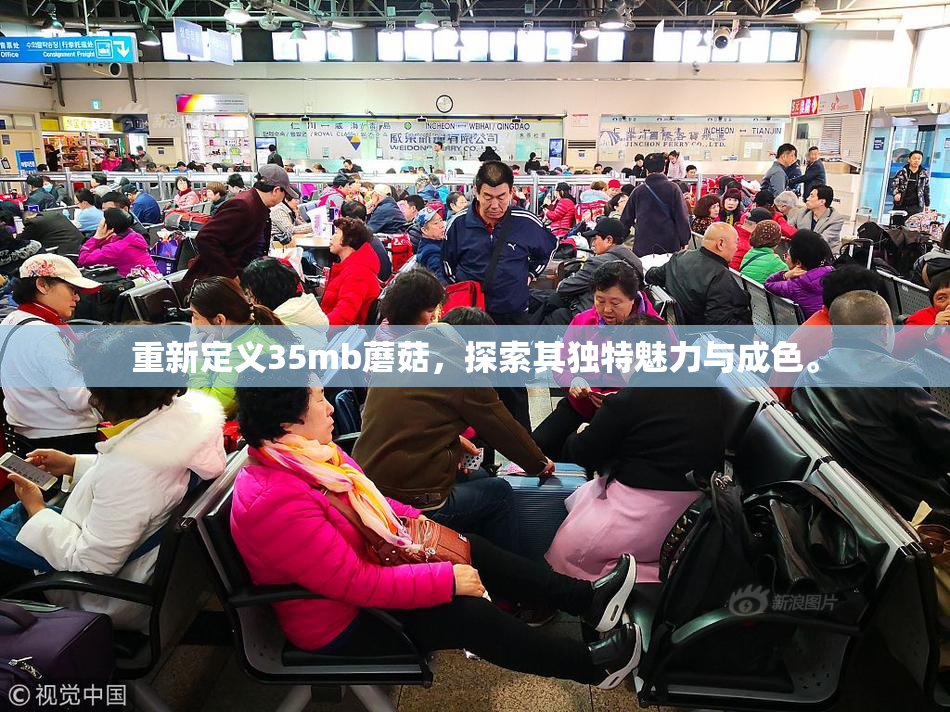 重新定义35mb蘑菇，探索其独特魅力与成色。