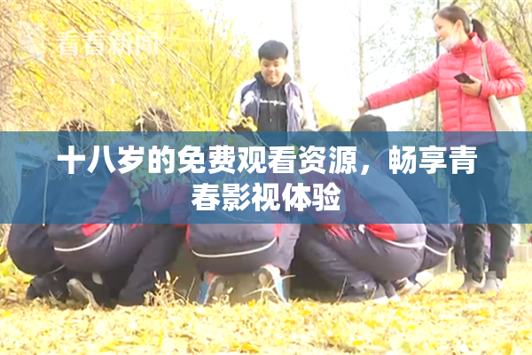 十八岁的免费观看资源，畅享青春影视体验