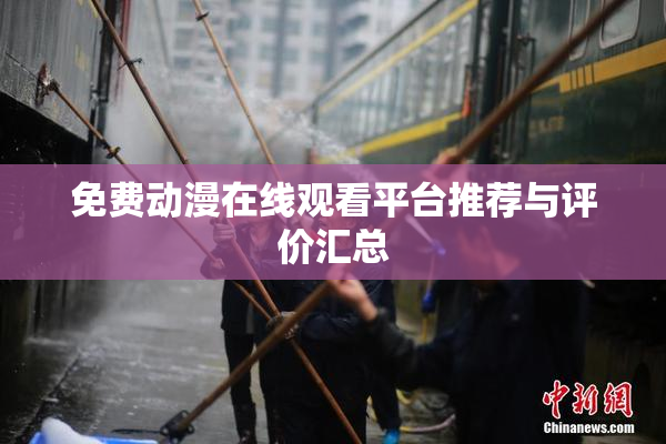 免费动漫在线观看平台推荐与评价汇总