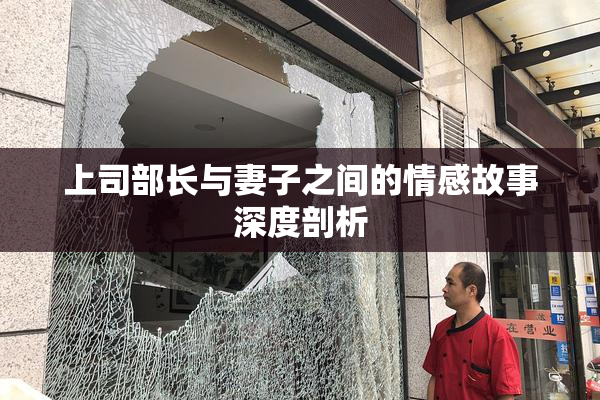 上司部长与妻子之间的情感故事深度剖析