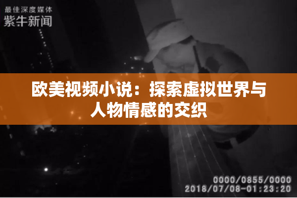 欧美视频小说：探索虚拟世界与人物情感的交织