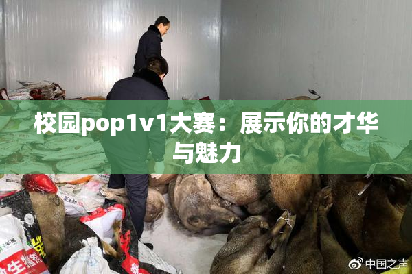 校园pop1v1大赛：展示你的才华与魅力
