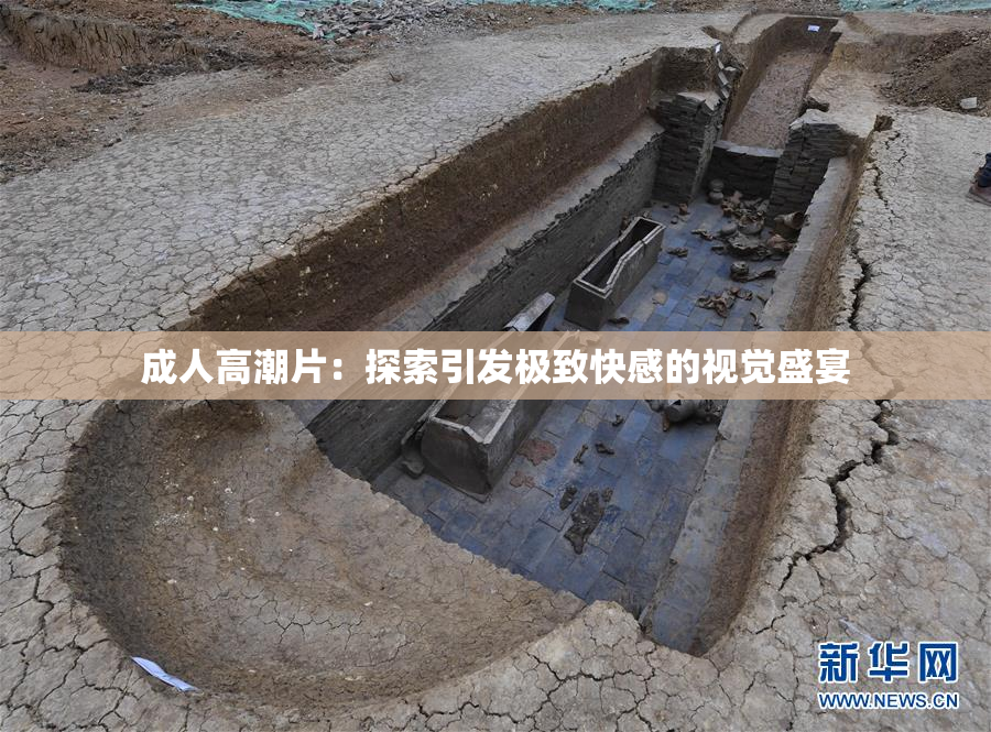成人高潮片：探索引发极致快感的视觉盛宴