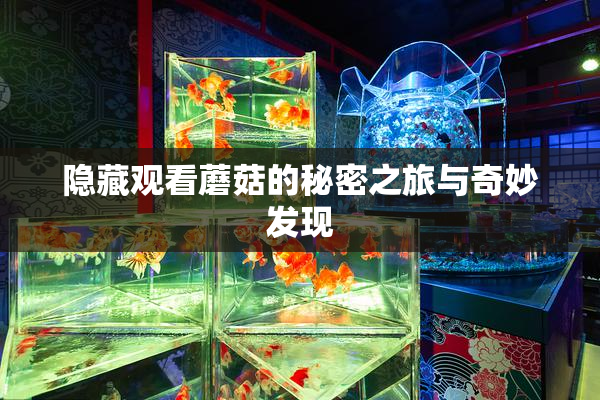 隐藏观看蘑菇的秘密之旅与奇妙发现