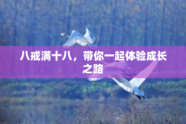 八戒满十八，带你一起体验成长之路