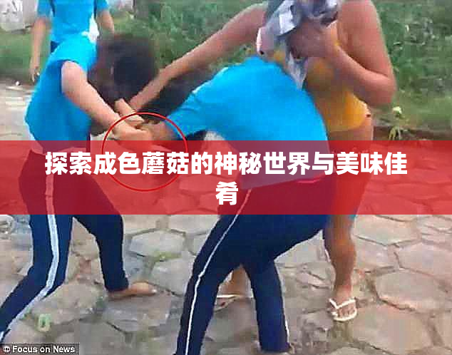 探索成色蘑菇的神秘世界与美味佳肴