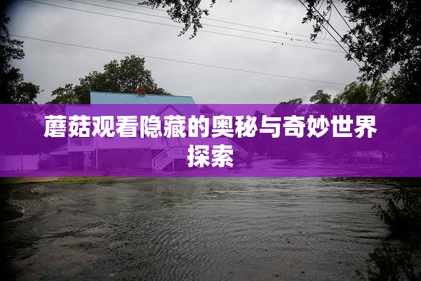 蘑菇观看隐藏的奥秘与奇妙世界探索