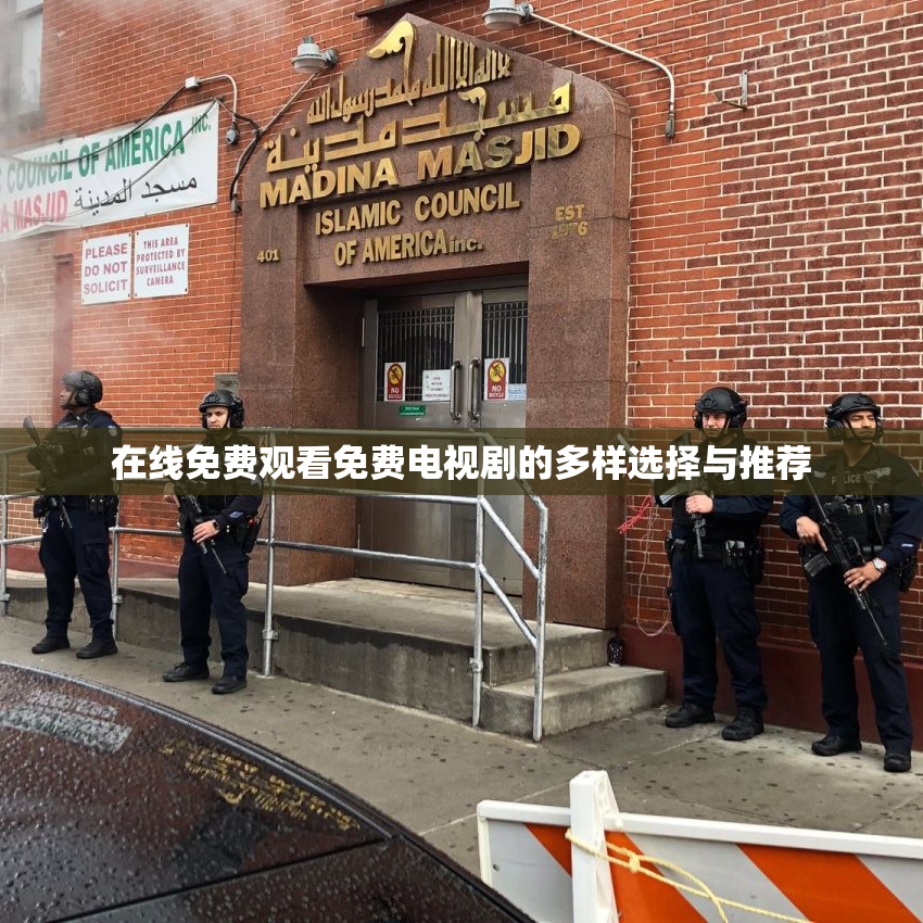 在线免费观看免费电视剧的多样选择与推荐