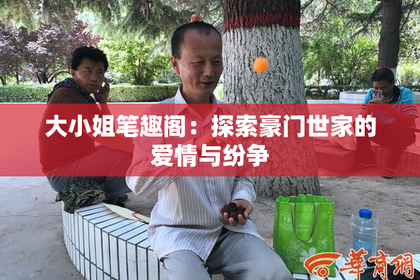 大小姐笔趣阁：探索豪门世家的爱情与纷争