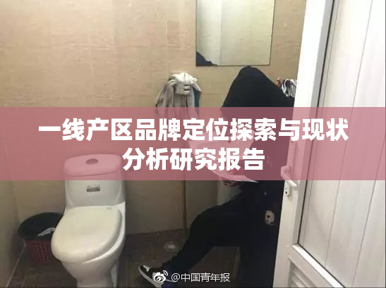 一线产区品牌定位探索与现状分析研究报告