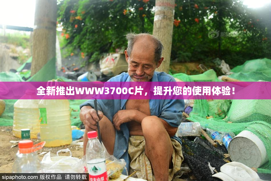 全新推出WWW3700C片，提升您的使用体验！