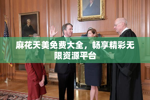 麻花天美免费大全，畅享精彩无限资源平台