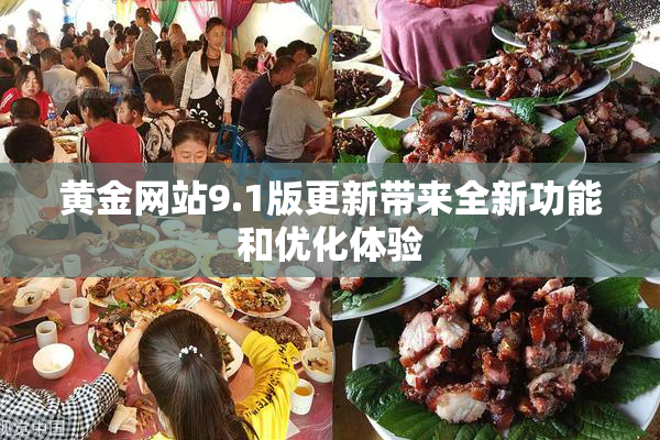 黄金网站9.1版更新带来全新功能和优化体验