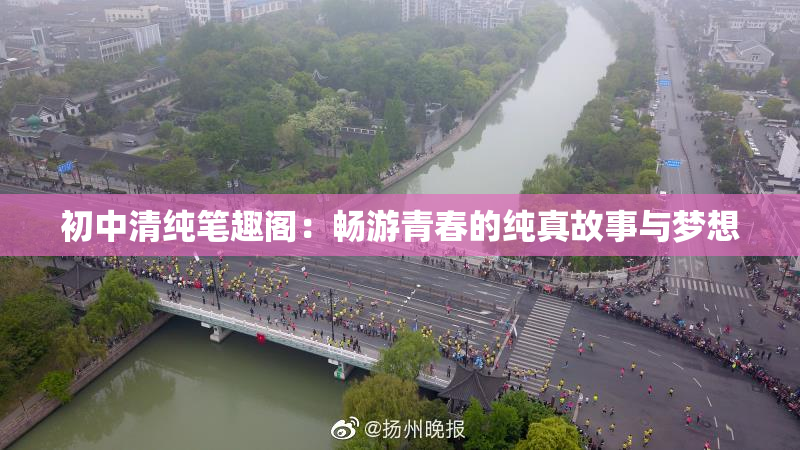 初中清纯笔趣阁：畅游青春的纯真故事与梦想