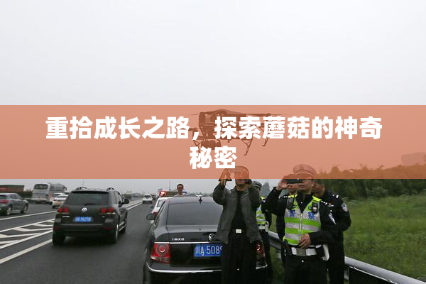重拾成长之路，探索蘑菇的神奇秘密
