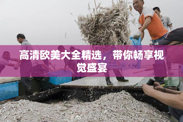 高清欧美大全精选，带你畅享视觉盛宴