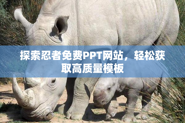 探索忍者免费PPT网站，轻松获取高质量模板