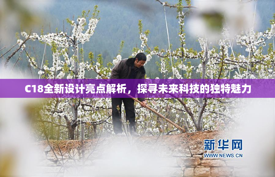 C18全新设计亮点解析，探寻未来科技的独特魅力