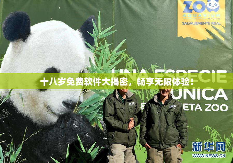 十八岁免费软件大揭密，畅享无限体验！