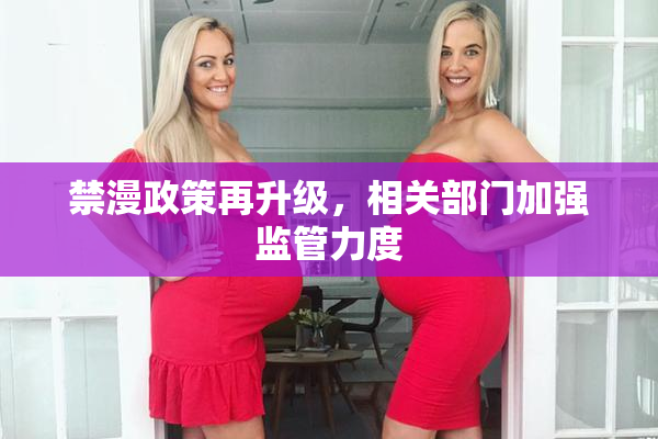 禁漫政策再升级，相关部门加强监管力度