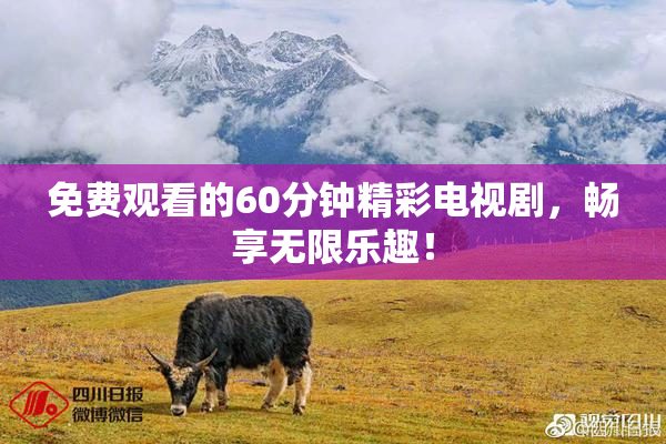 免费观看的60分钟精彩电视剧，畅享无限乐趣！