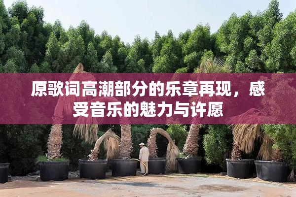 原歌词高潮部分的乐章再现，感受音乐的魅力与许愿