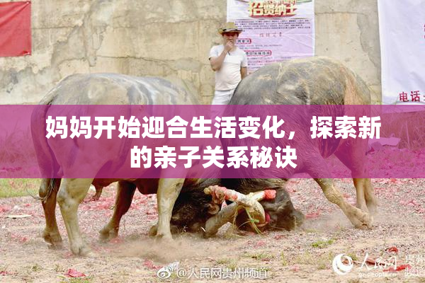 妈妈开始迎合生活变化，探索新的亲子关系秘诀