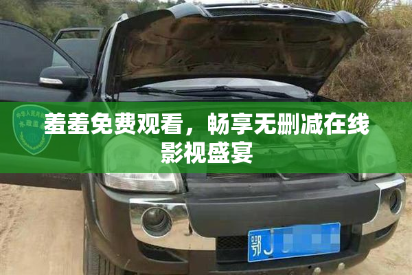 羞羞免费观看，畅享无删减在线影视盛宴