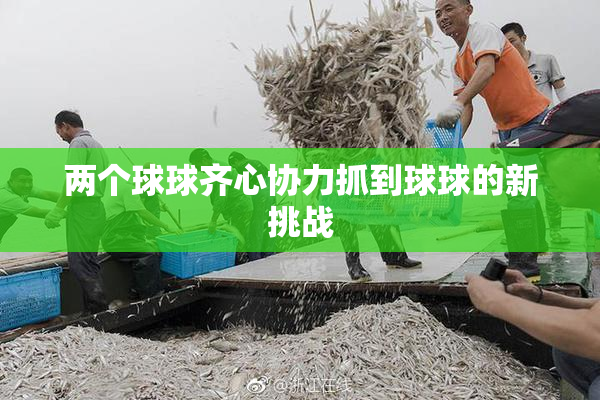 两个球球齐心协力抓到球球的新挑战