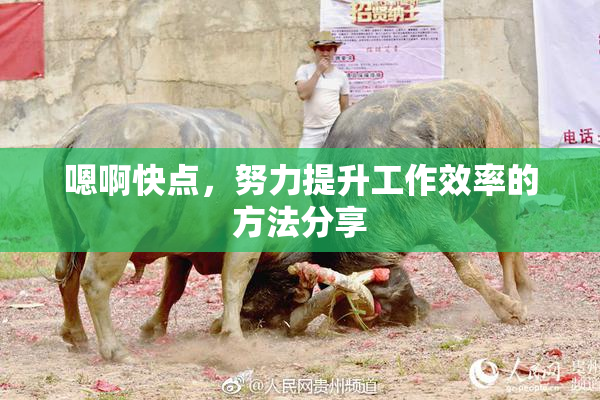 嗯啊快点，努力提升工作效率的方法分享