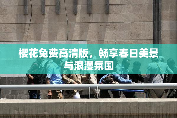樱花免费高清版，畅享春日美景与浪漫氛围