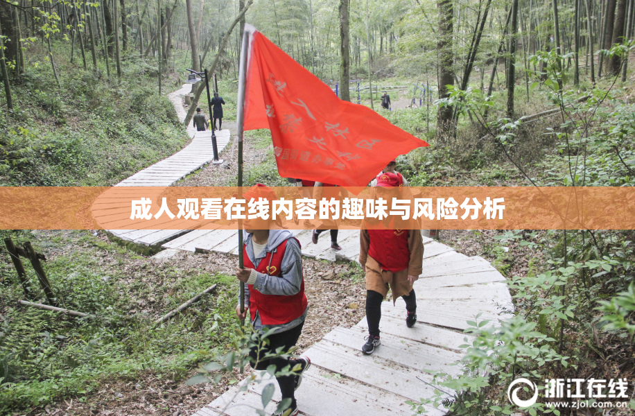 成人观看在线内容的趣味与风险分析