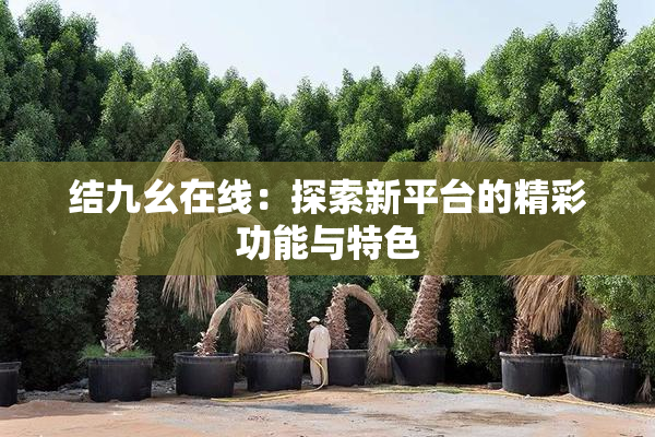 结九幺在线：探索新平台的精彩功能与特色
